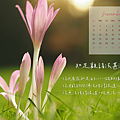 11月電腦桌布推薦 正能量 心靈勵志桌布 烈陽問路 (6).PNG