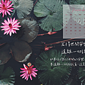 11月電腦桌布推薦 正能量 心靈勵志桌布 烈陽問路 (9).PNG