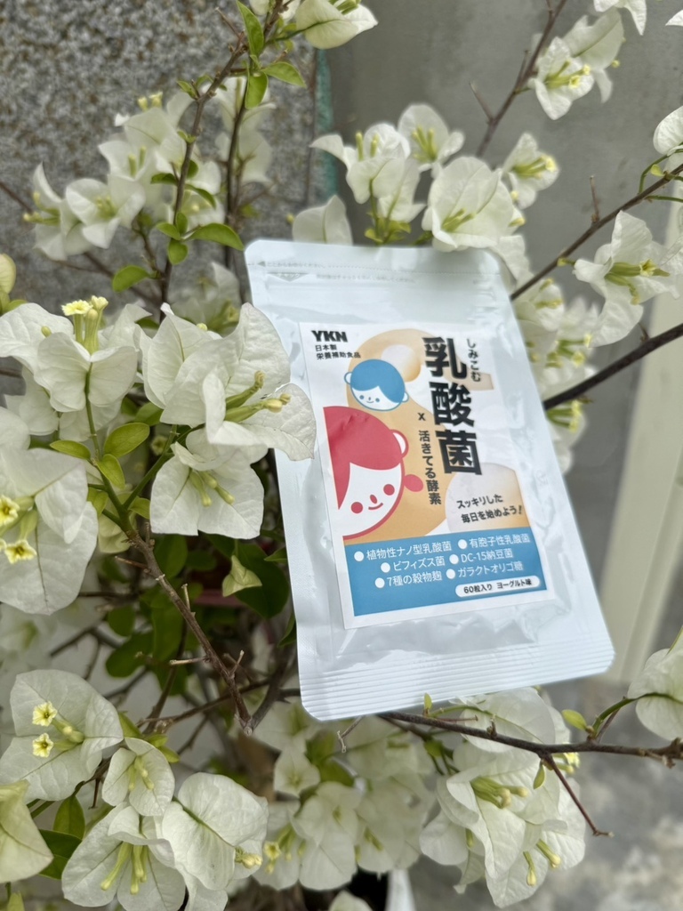 YKN日本極有酵益菌錠 烈陽問路 (10).jpg