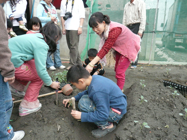 種菜體驗中