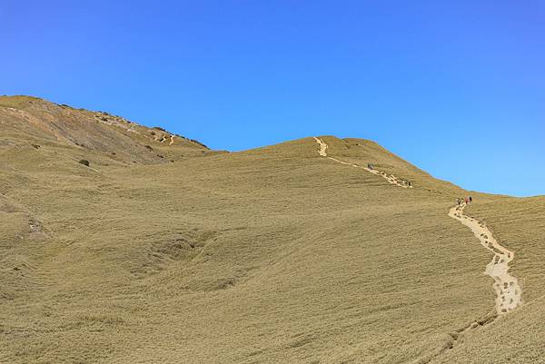 2021.02.05 合歡山北峰_210210_5.jpg