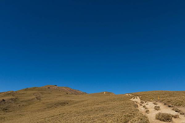 2021.02.05 合歡山北峰_210210_59.jpg