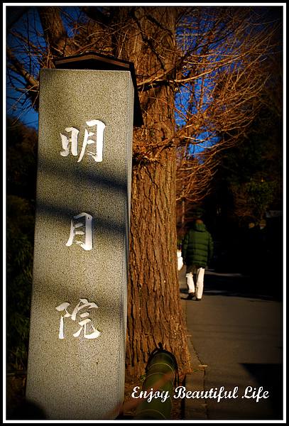 鎌倉的明月院~很漂亮