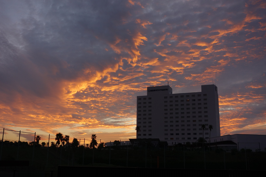 DSC04473.JPG DSC04473.JPG