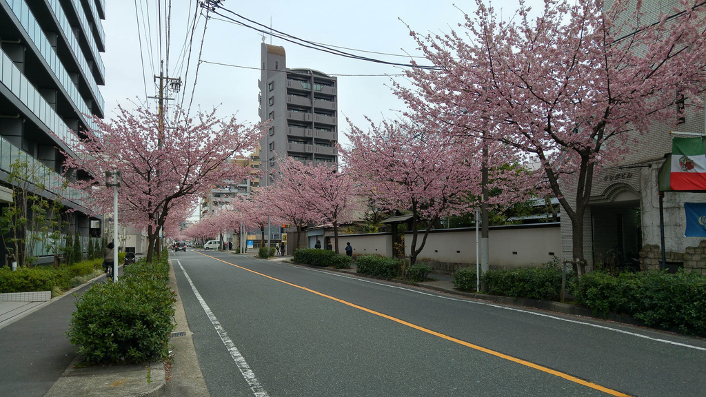 20160316_095737_HDR.jpg 20160316_095737_HDR.jpg