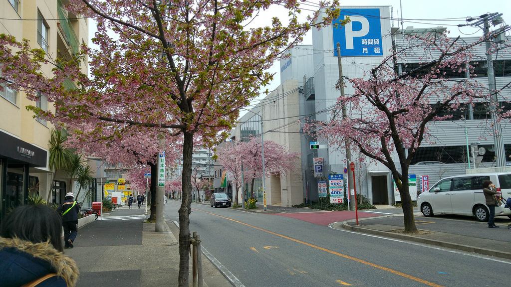 20160316_094506_HDR.jpg 20160316_094506_HDR.jpg