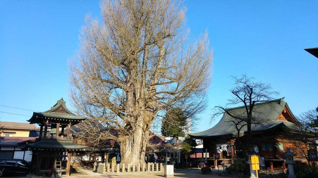 20160317_063152_HDR.jpg 20160317_063152_HDR.jpg