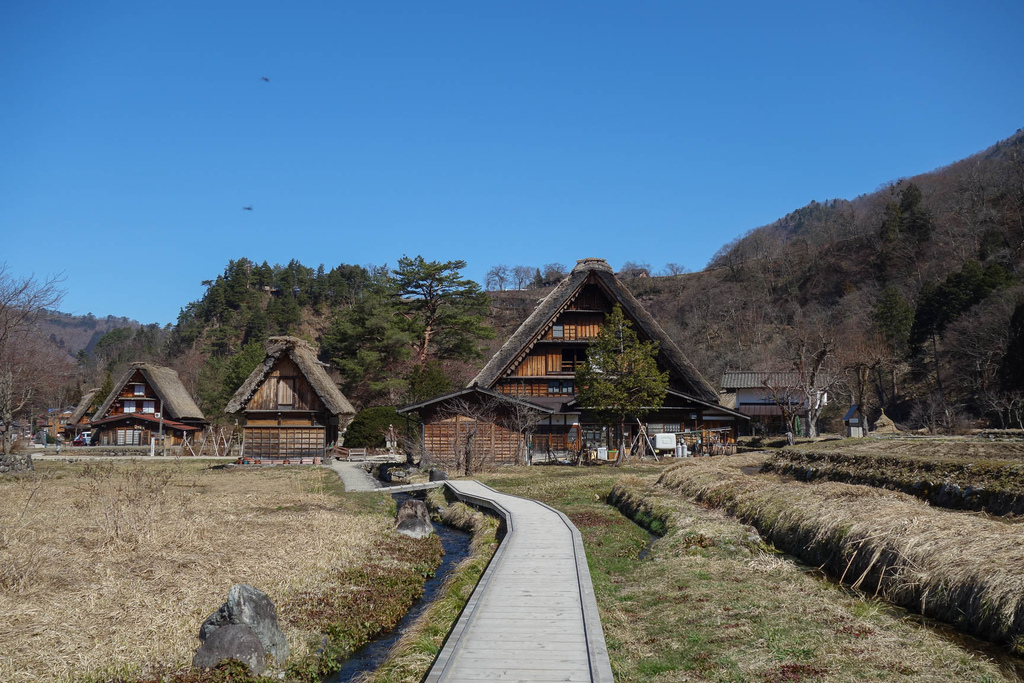 DSC01706.jpg DSC01706.jpg