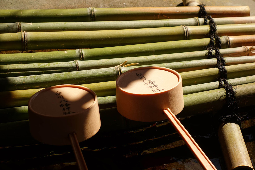 DSC01762.jpg DSC01762.jpg