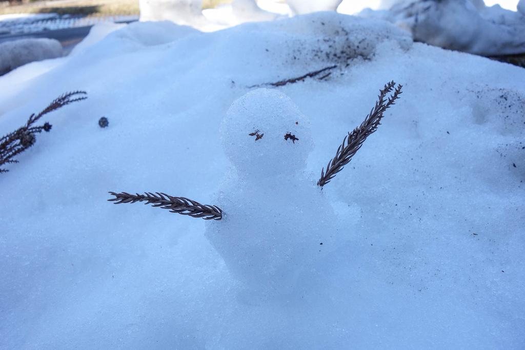 DSC01788.jpg DSC01788.jpg