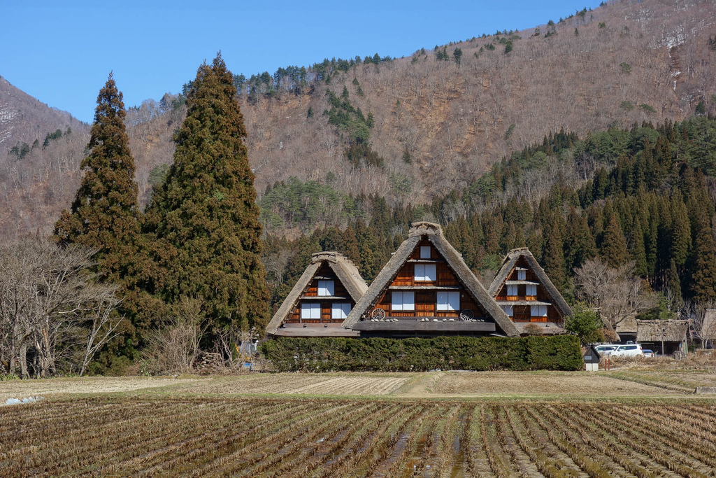 DSC01804.jpg DSC01804.jpg