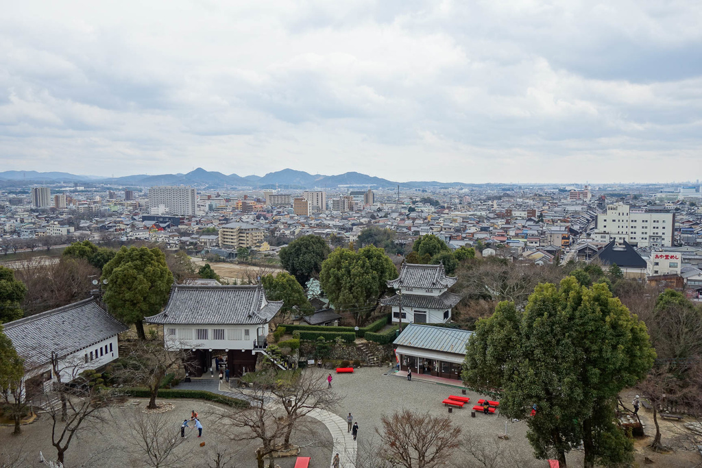 DSC01982.jpg DSC01982.jpg