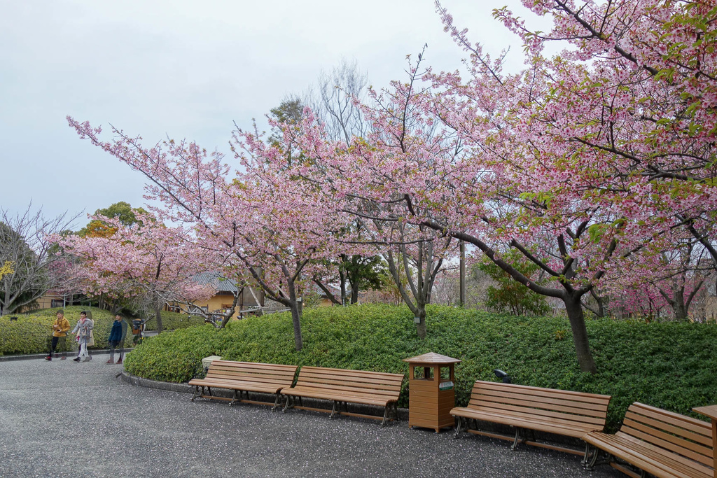 DSC02028.jpg DSC02028.jpg