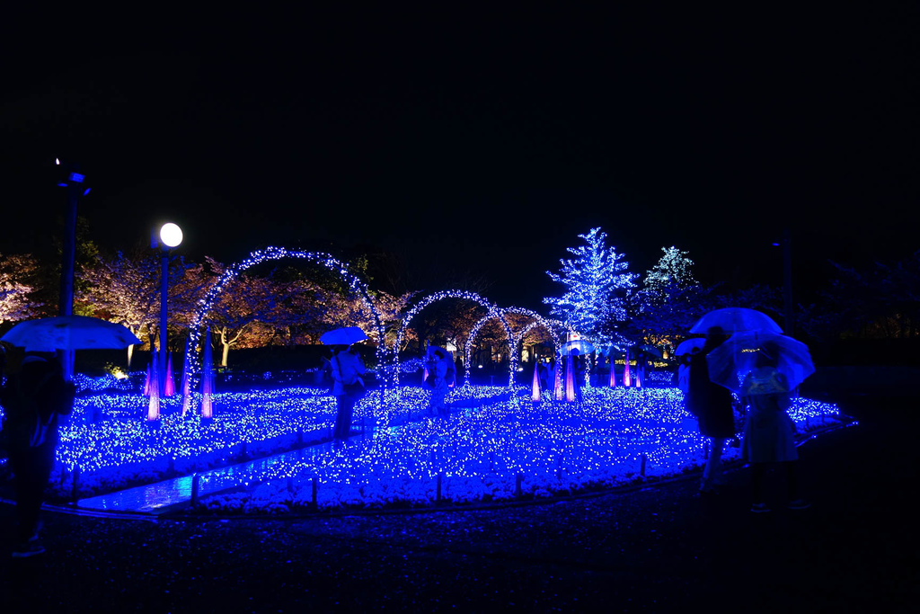 DSC02084.jpg DSC02084.jpg