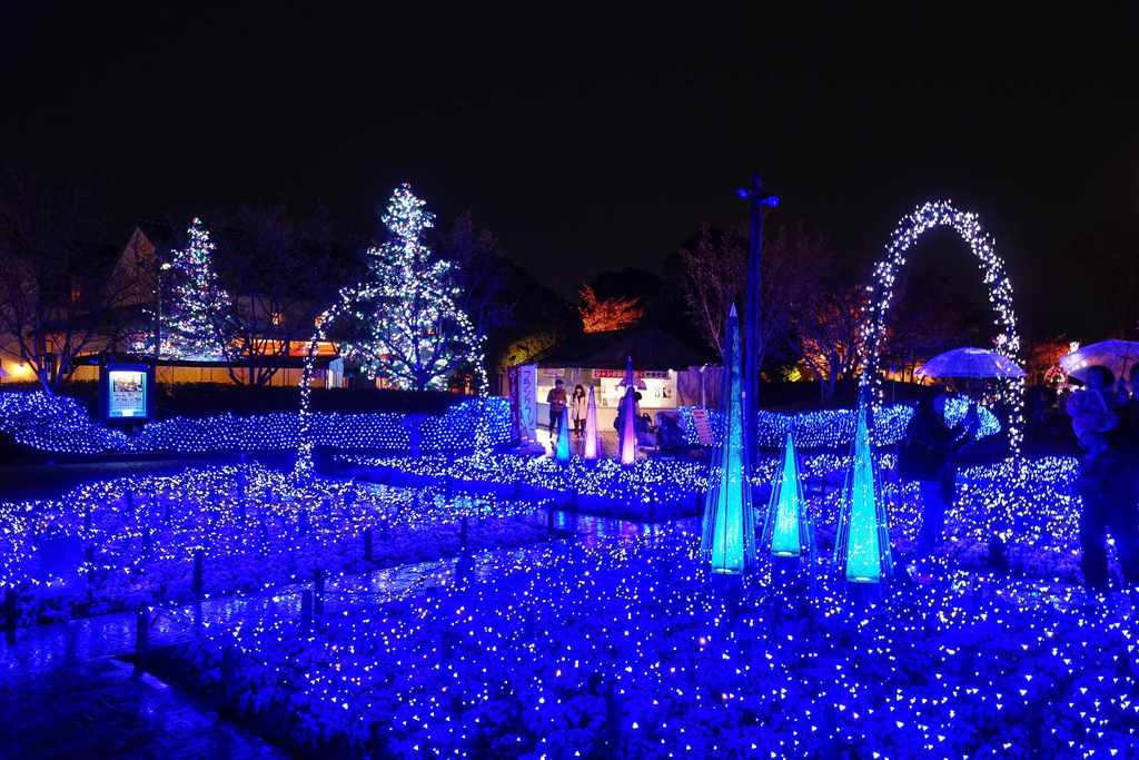 DSC02087.jpg DSC02087.jpg