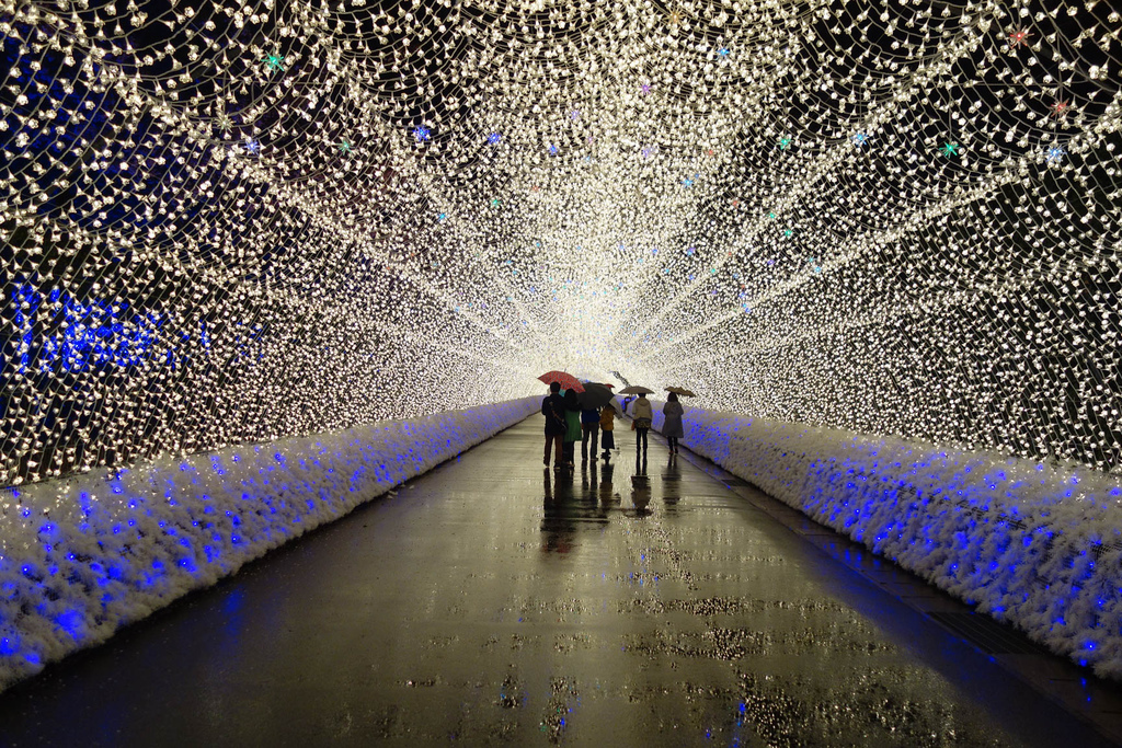 DSC02144.jpg DSC02144.jpg