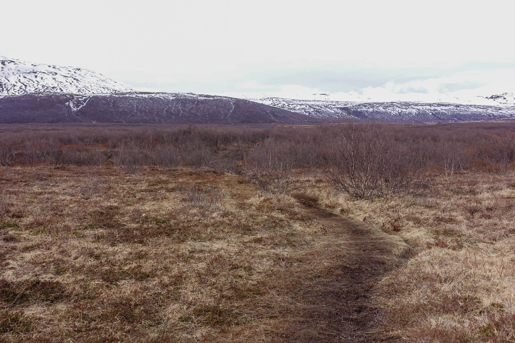 DSC01552.jpg DSC01552.jpg