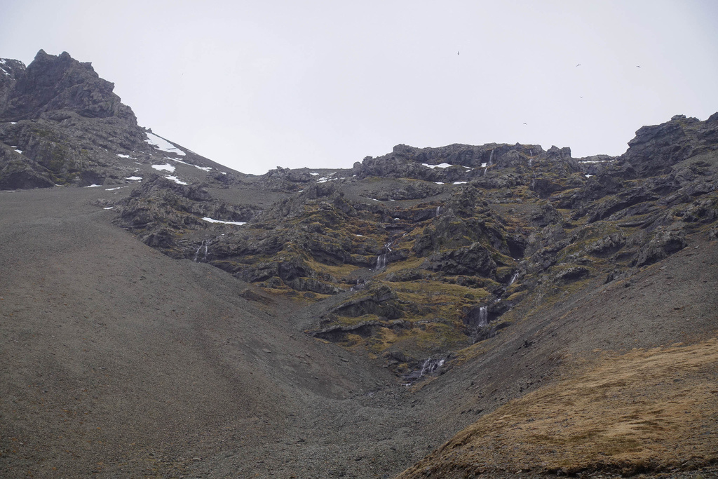 DSC02374.jpg DSC02374.jpg