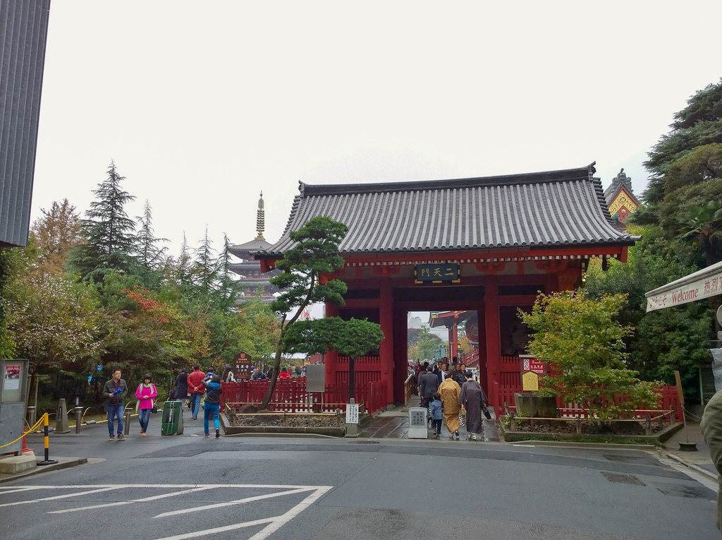 WP_20141109_09_51_41_Pro.jpg WP_20141109_09_51_41_Pro.jpg