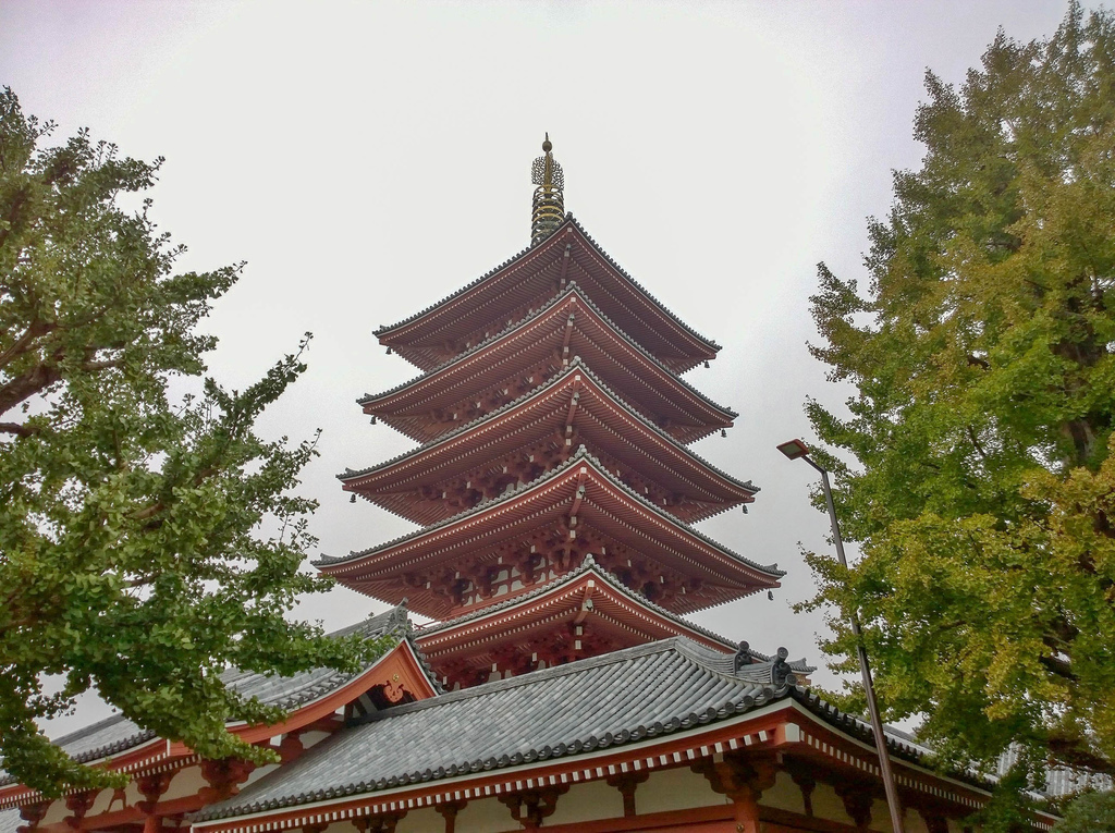 WP_20141109_10_28_06_Pro.jpg WP_20141109_10_28_06_Pro.jpg