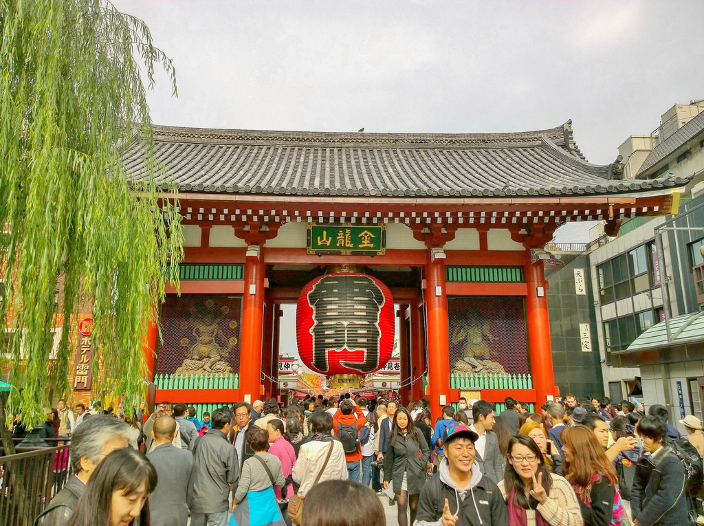 WP_20141109_11_33_49_Pro.jpg WP_20141109_11_33_49_Pro.jpg