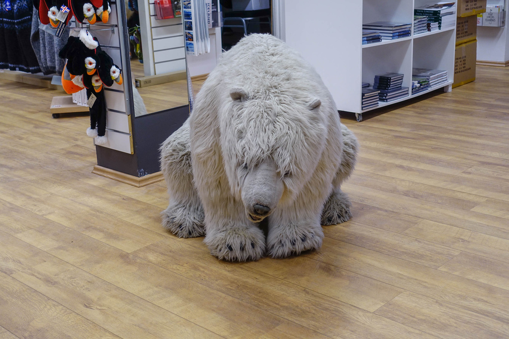 DSC02965.jpg DSC02965.jpg