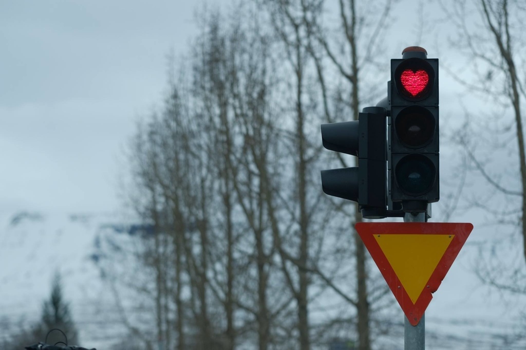 17760995_610238992503995_8481475545561181013_o.jpg 17760995_610238992503995_8481475545561181013_o.jpg