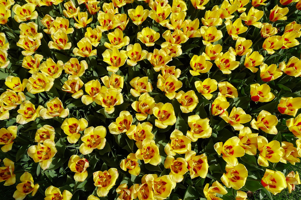 DSC03366.JPG DSC03366.JPG