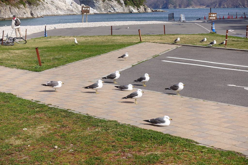 DSC03626.jpg DSC03626.jpg