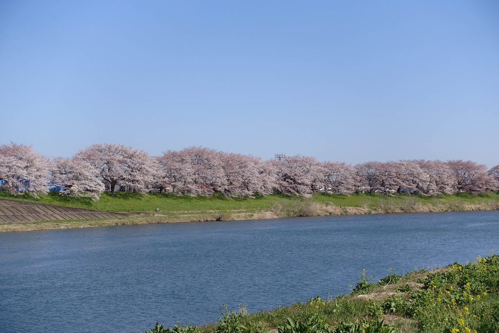 DSC03888.jpg DSC03888.jpg