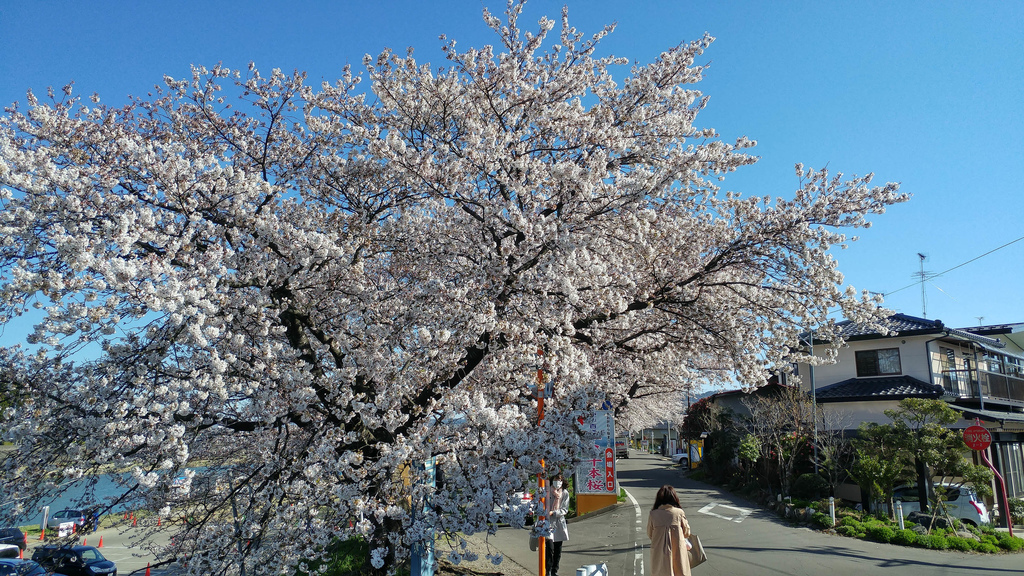 20170414_081036_HDR.jpg 20170414_081036_HDR.jpg