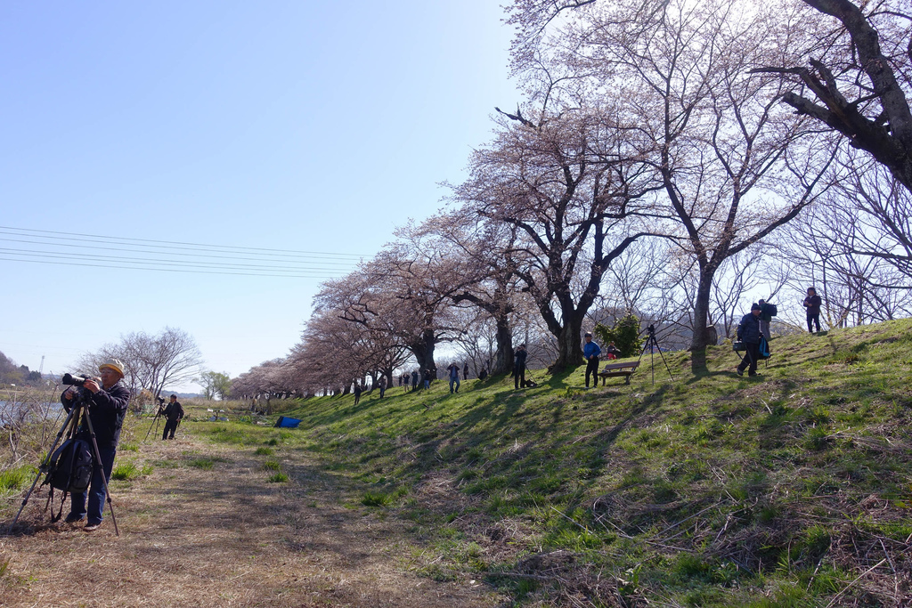 DSC03910.jpg DSC03910.jpg