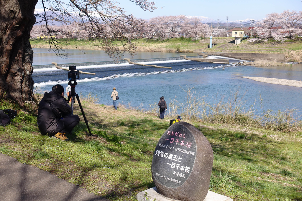 DSC03917.jpg DSC03917.jpg