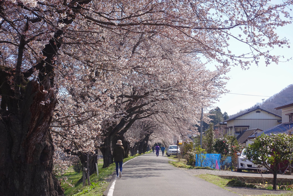 DSC03901.jpg DSC03901.jpg