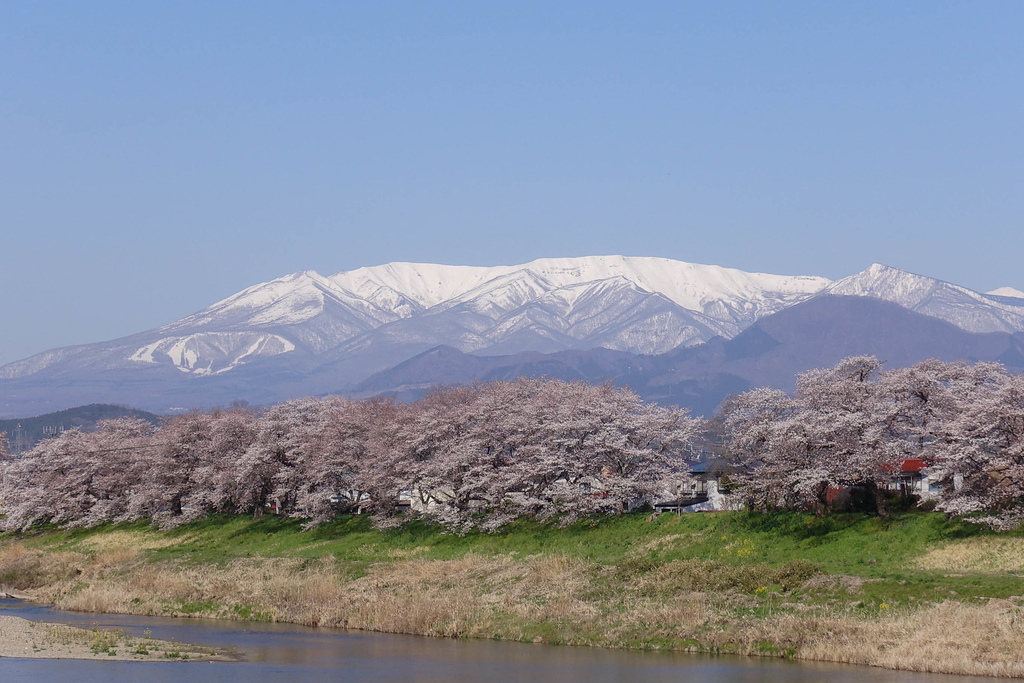 DSC03923.jpg DSC03923.jpg