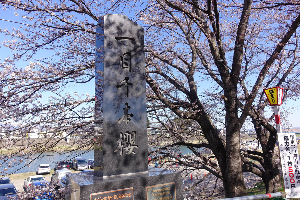 DSC03877.jpg DSC03877.jpg