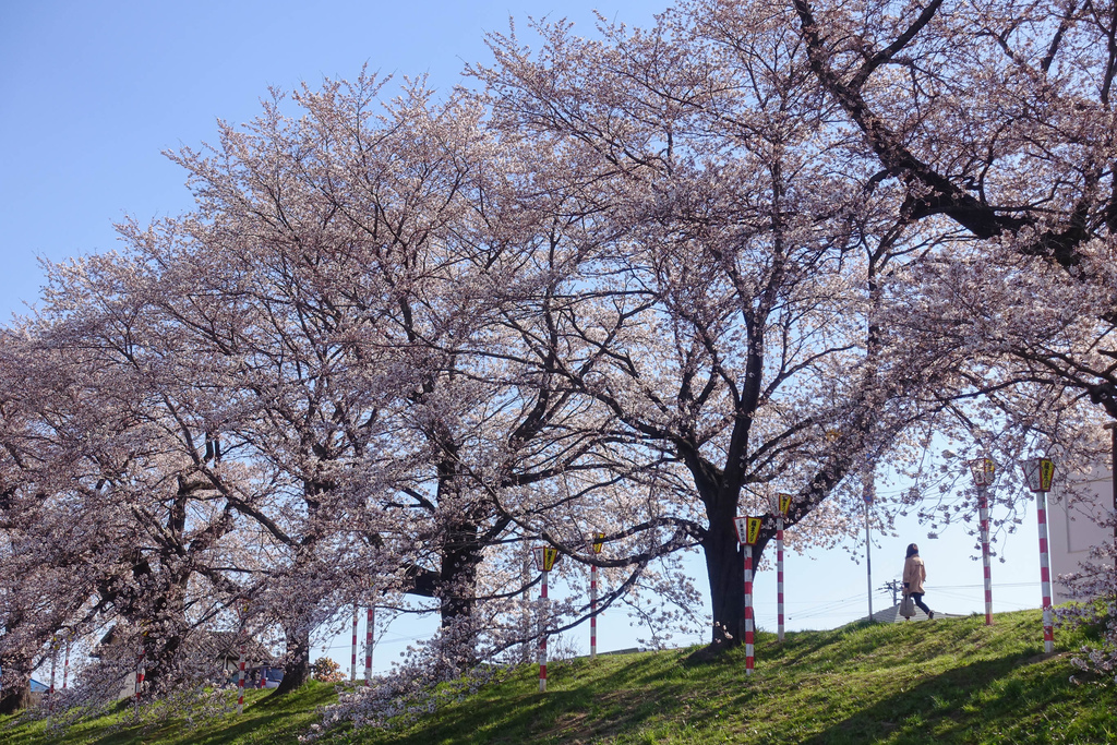 DSC03882.jpg DSC03882.jpg