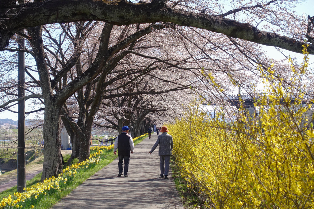 DSC03940.jpg DSC03940.jpg