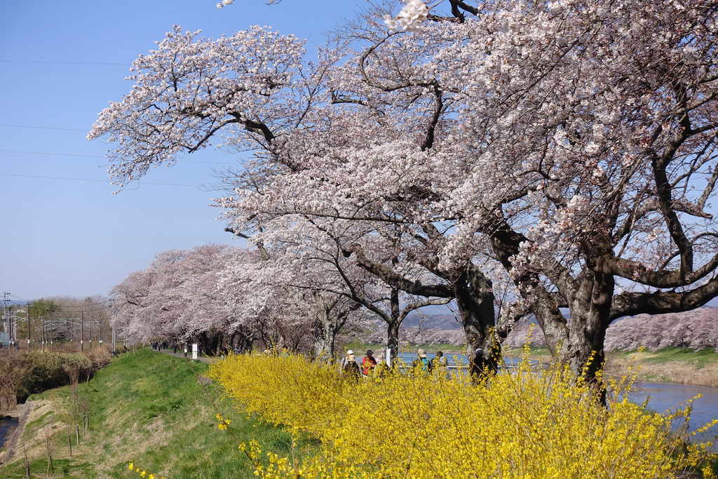 DSC03927.jpg DSC03927.jpg