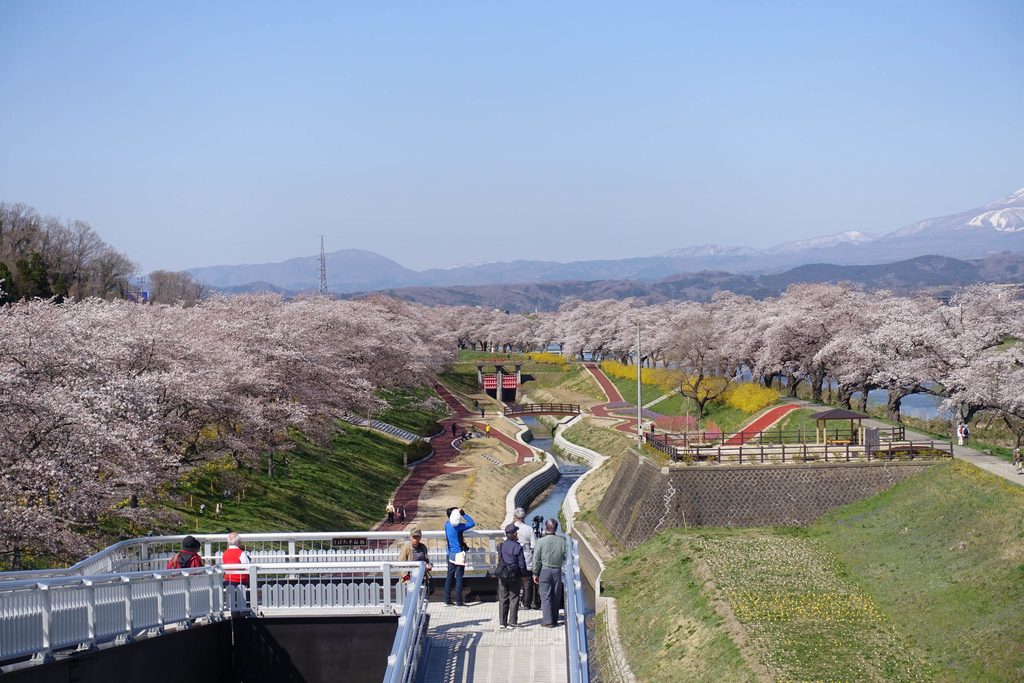 DSC03953.jpg DSC03953.jpg