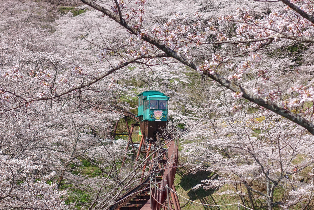 DSC04029.jpg DSC04029.jpg