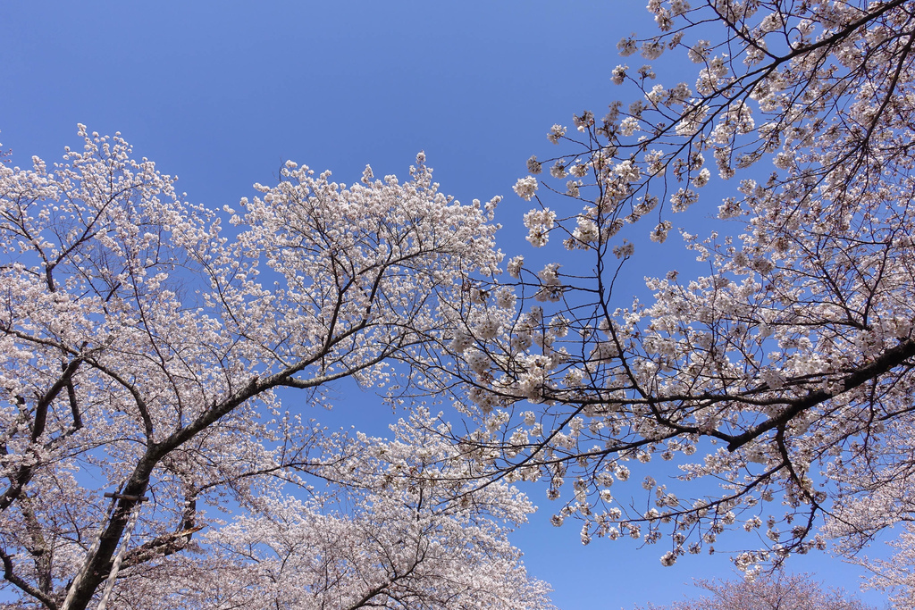 DSC04056.jpg DSC04056.jpg