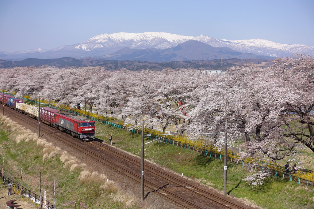 DSC03990.jpg DSC03990.jpg