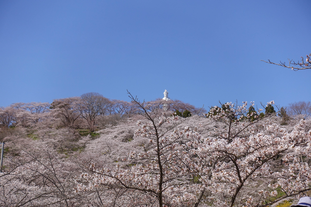 DSC04046.jpg DSC04046.jpg