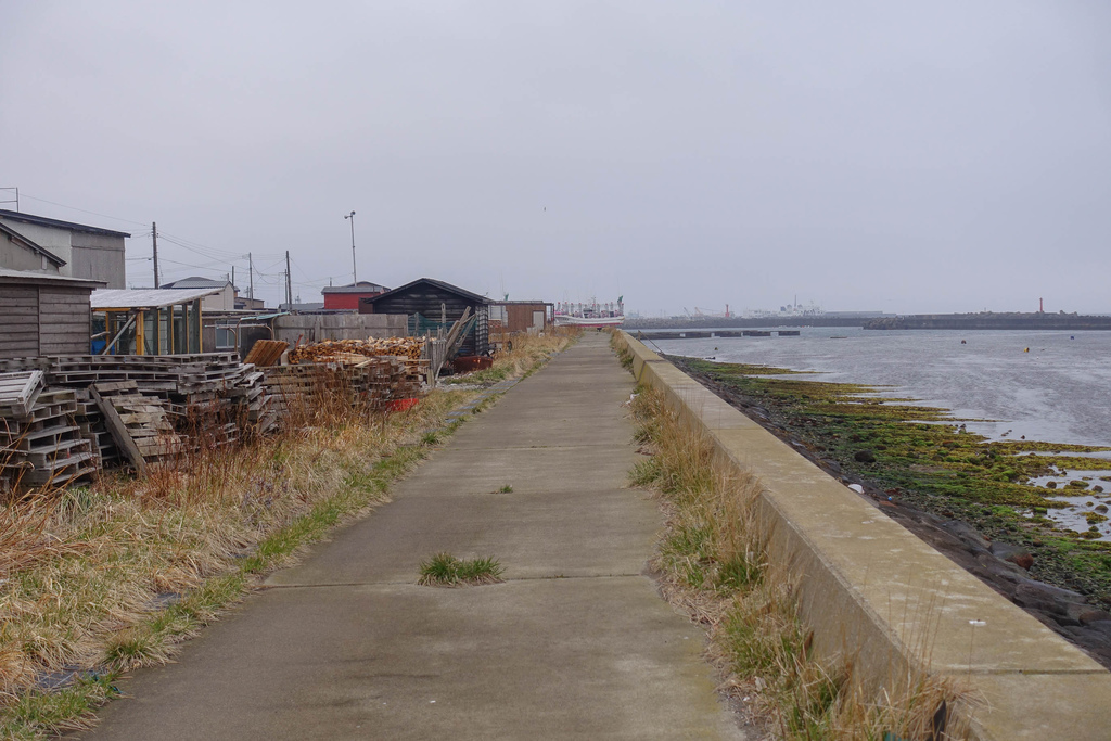 DSC04383.jpg DSC04383.jpg