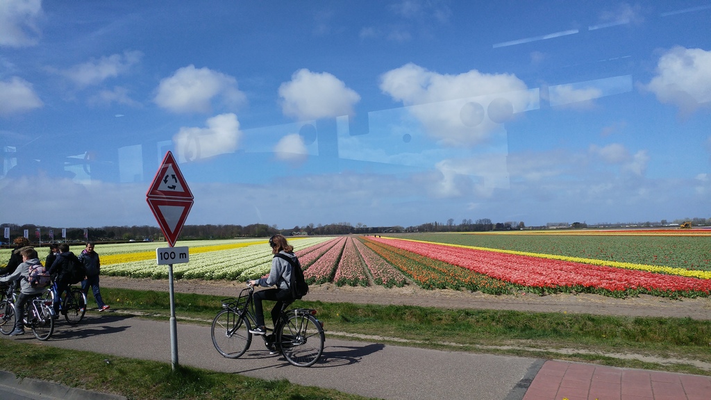 20170406_131545_HDR.jpg 20170406_131545_HDR.jpg