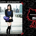 Manhattan Portage