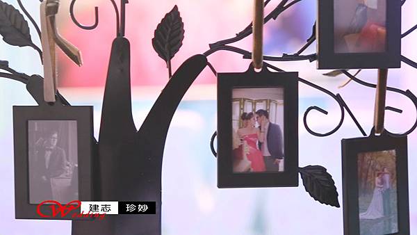 影像243 影像243