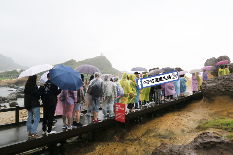 G子X哈旅行 台北包車一日遊.野柳地質公園 日韓觀光客眾多