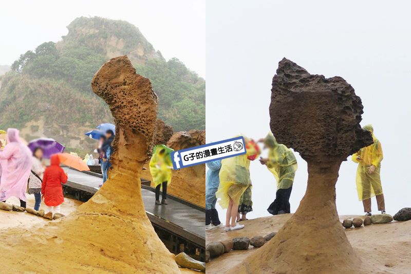 G子X哈旅行 台北包車一日遊.北海岸野柳地質公園.女王頭
